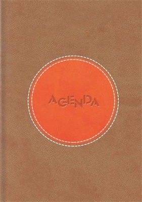 Naptár, tervező, A5, napi, DAYLINER "Central", barna-narancs