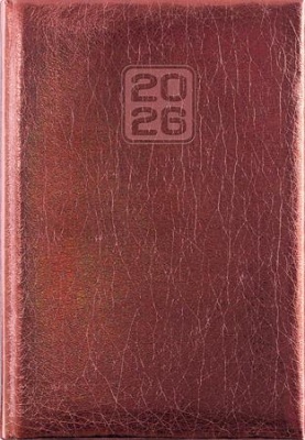 Naptár, tervező, A5, napi, DAYLINER, "Mirror", bronz
