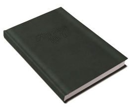 Tanítói zsebkönyv, heti, 2026/2027 tanév, REALSYSTEM, zöld